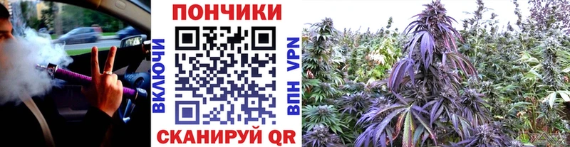 OMG вход  Соль-Илецк  Бошки Шишки SATIVA & INDICA 